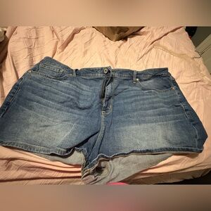 Torrid Blue Jean Shorts for Women